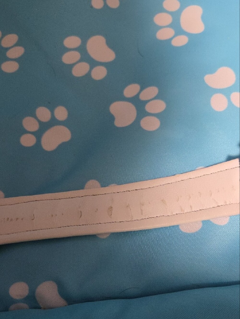 2 Service Dog In Training Collars - Picture 2 of 6